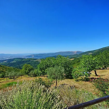Tenuta Lonciano Villa