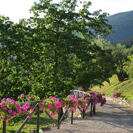 Willa Tenuta Lonciano By Posarellivillas *